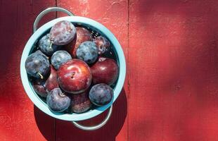 verscheidenheid van vers geplukt pruimen in een blauw vergiet Aan een rood tafel foto