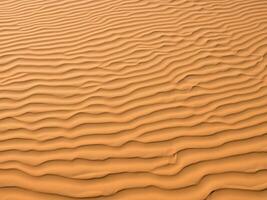 zand duinen van de woestijn foto