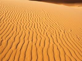 zand duinen van de woestijn foto