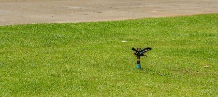 sproeier Aan de groen gazon is een Japans gras dat siert de tuin en wandelingen, is een automatisch systeem dat bochten uit en Aan door een automatisch tijdopnemer. foto