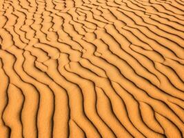 zand duinen van de woestijn foto