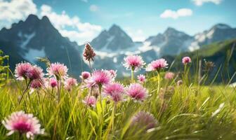 enorm alpine weide stippel met levendig wilde bloemen, met majestueus met sneeuw bedekt bergen in de achtergrond. gemaakt door ai gereedschap foto