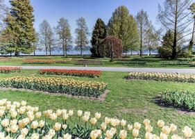 tulp feest, morges, Zwitserland foto