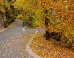 oktober langs de deschutes rivier columbia park bocht or foto