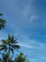 kokosnoot bomen met mooi wolken in de dorp foto