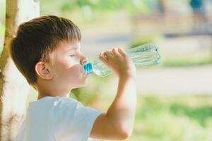 schattig jongen zittend Aan de gras drankjes water van een fles in de zomer Bij zonsondergang. kind blust dorst Aan een heet dag foto