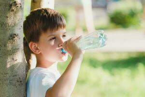 schattig jongen zittend Aan de gras drankjes water van een fles in de zomer Bij zonsondergang. kind blust dorst Aan een heet dag foto