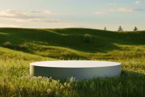 blanco ronde wit vitrine Aan groen gras Bij hemel weide. kopiëren ruimte. leeg ruimte. 3d weergave. generatief ai. foto