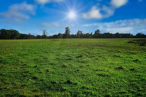 natuurlijk landschap met een groen veld foto