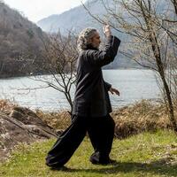 volwassen Mens beoefenen tai chi discipline buitenshuis foto