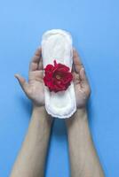 vrouwelijk hand- Holding sanitair servetten met rood roos Aan het. periode dagen concept tonen vrouwelijk menstruatie- fiets. vrouwelijk hygiëne foto