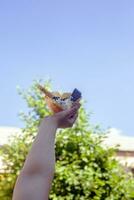 jong vrouw Holding heerlijk ijs room met wafel gedurende een picknick Bij natuur. zomer voedsel concept. jong volwassen aan het eten lekker ijs room met een stok Aan een helder zomer dag. foto