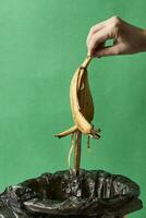 vrouw gooien banaan schillen in uitschot kan foto