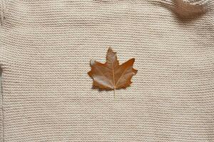 oranje herfst vallen blad Aan de gebreid oppervlakte foto