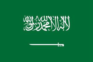 de officieel stroom vlag van koninkrijk van saudi Arabië. staat vlag van saudi Arabië. illustratie. foto