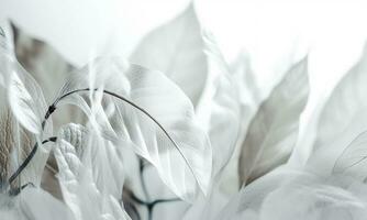 etherisch bladeren van wit achtergrond. ai gegenereerd. pro foto