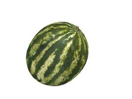 groot watermeloen - geïsoleerd Aan wit foto
