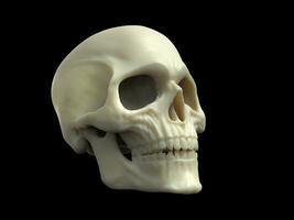 schedel gemaakt uit van was- foto