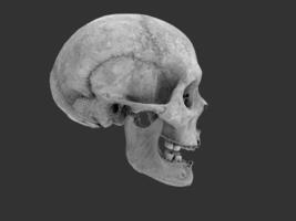 menselijk schedel met missend tanden - kant visie foto