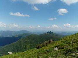 berg heuvels en bossen foto