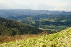 bergen en bossen foto