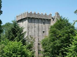 oud keltisch kasteel toren in de bomen, flauw kasteel in Ierland, oud oude keltisch vesting foto