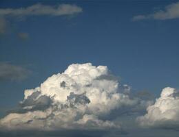 wit en grijs cumulus wolken achtergrond over- de blauw zomer lucht achtergrond foto