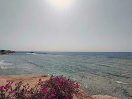 rood zee in Egypte natuurlijk achtergrond foto