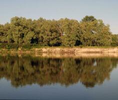 bomen water reflectie foto