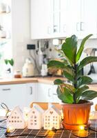 ficus lirata in een pot in de interieur van de huis in de keuken, verlichte door slinger lampen en miniatuur van huis project met sleutels. ingemaakt fabriek in groen huis, echt landgoed verhuur, verzekering foto