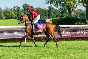 Wrocaw, Polen - sep 10, 2023 - jockeys concurrerende Aan wrocaw ras bijhouden foto