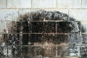 muur wit steen vuil korstmos bekladden foto