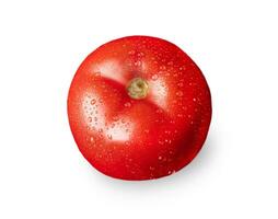 tomaat geïsoleerd. tomaat Aan wit achtergrond. tomat top visie. tomaat met druppels. foto