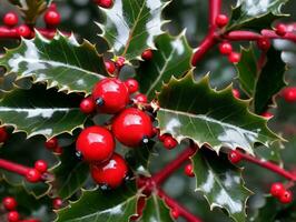 hulst met rood bessen en groen bladeren. ai gegenereerd foto