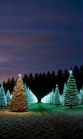 een Kerstmis boom boerderij Bij schemer met rijen van verlichte bomen. ai gegenereerd foto