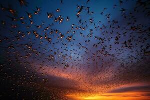 een betoverend zonsondergang met een verbijsterend kudde van vogelstand sierlijk stijgend door de kleurrijk lucht ai gegenereerd foto