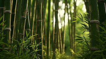 een sereen bamboe Woud gevulde met weelderig groen planten ai gegenereerd foto