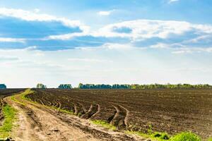 fotografie Aan thema groot leeg boerderij veld- voor biologisch oogst foto