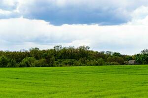 mooi horizon landschap in dorp weide Aan kleur natuurlijk achtergrond foto