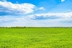 mooi horizon landschap in dorp weide Aan kleur natuurlijk achtergrond foto