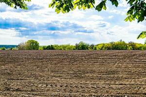 fotografie Aan thema groot leeg boerderij veld- voor biologisch oogst foto