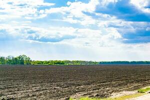 fotografie Aan thema groot leeg boerderij veld- voor biologisch oogst foto