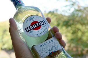 fles van vermout martini rossi in mannetje hand- Aan een groen bomen achtergrond foto