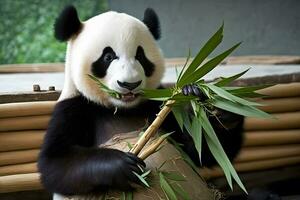 panda aan het eten schiet van bamboe. bijzonder en bedreigd zwart en wit beer. neurale netwerk ai gegenereerd foto