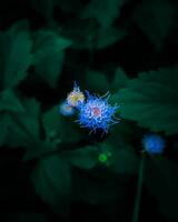 sereen maanlicht tuin mooi natuur, kleurrijk bloemen en dieren in het wild in vredig duisternis kleurrijk bloemen onder maanlicht in een vredig tuin, markeren van de natuur schoonheid en rust. foto