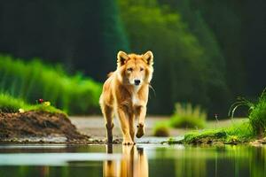 een wolf wandelen aan de overkant een rivier- in de Woud. ai-gegenereerd foto