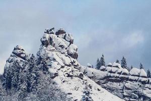 bergen bomen bedekt met sneeuw. de bomen zijn bevroren foto