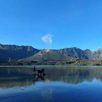 rustig tafereel reflectie van van de natuur schoonheid, met mensen graven strand zand foto