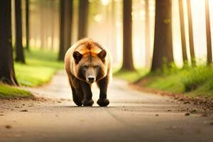 een bruin beer wandelen naar beneden een weg in de bossen. ai-gegenereerd foto