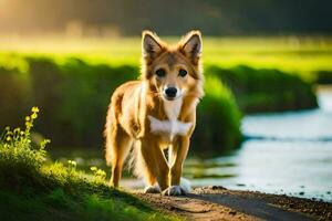 een hond is staand Aan de kant van een rivier. ai-gegenereerd foto